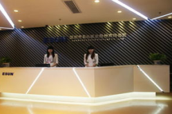 易尚展示,引领科技与艺术融合的视觉盛宴