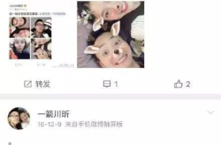 娱乐吃瓜君造谣犯法吗,造谣行为触犯法律边界