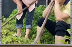 娱乐八卦一定是吃瓜群众的吗,揭秘吃瓜群众的狂欢盛宴