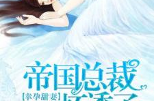 宠妃幸孕人生,宠妃的幸孕传奇