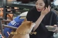 吃瓜娱乐八卦的视频,揭秘明星幕后故事，吃瓜群众必看！