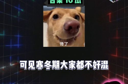 娱乐八卦消息吃瓜了,揭秘明星幕后故事，吃瓜群众齐围观