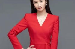 娱乐新闻主持人,娱乐新闻主持人的星光璀璨之路