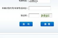 电子警察查询,便捷高效，守护交通秩序