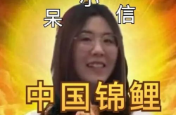 锦鲤小娱乐,揭秘网络红人的魅力与影响力