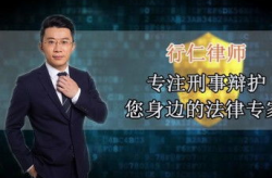 刑事辩护律师咨询,专业指导与案件策略解析