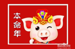 本命年的运势,运势起伏，机遇与挑战并存